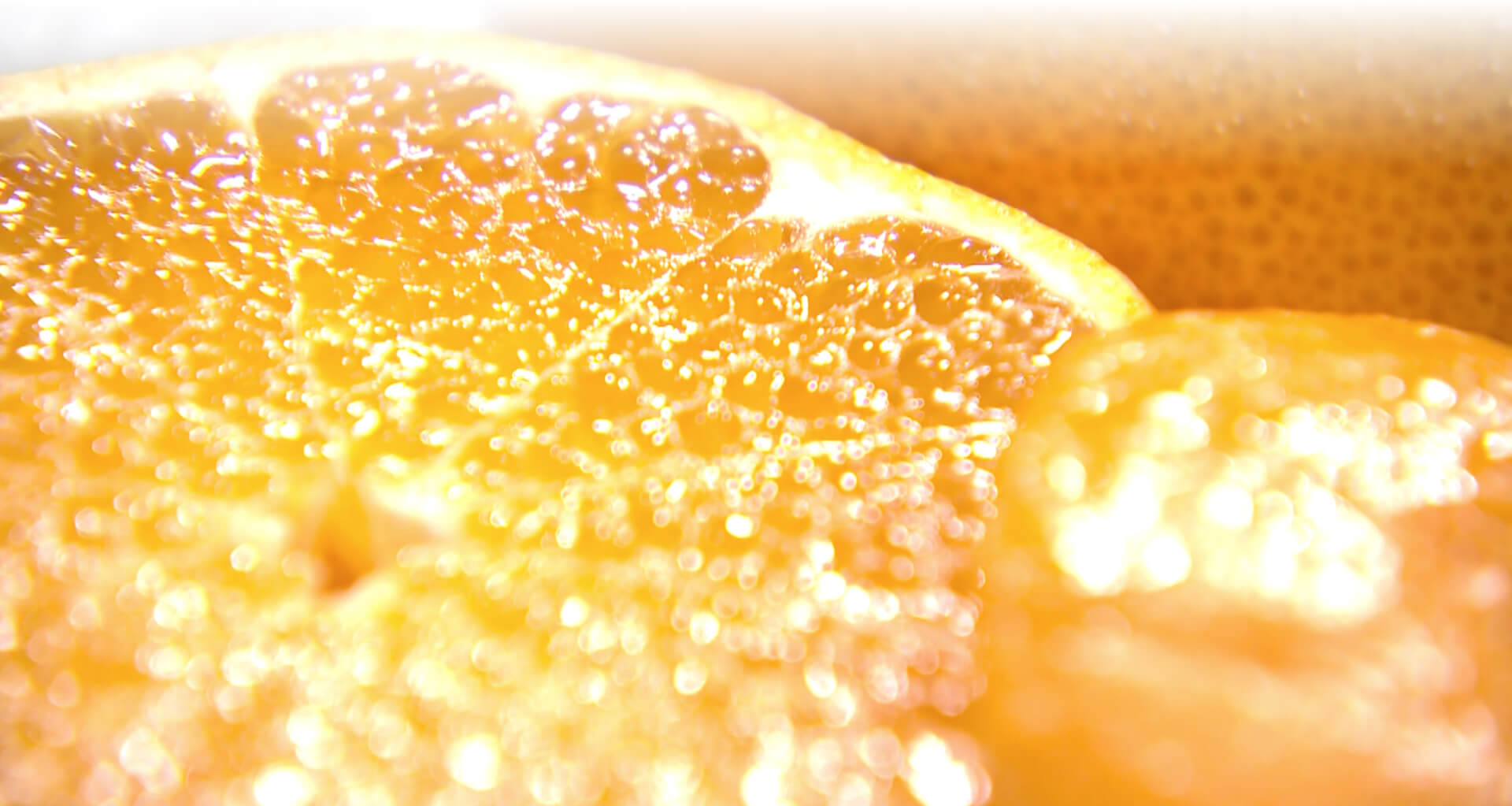 top-banner-bg