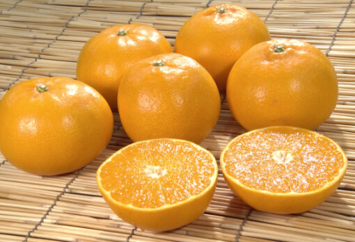 THE GEM OF CITRUS DON DON DONKI Malaysia Facebook